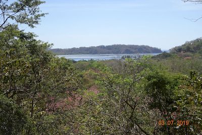 Vue du terrain de 12000 m2, samara, costa rica