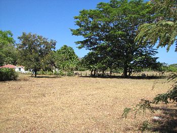 Vue du terrain de Samara, Costa Rica