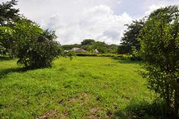 Vue du terrain de 1250 m2 de Tamarindo, Costa Rica 