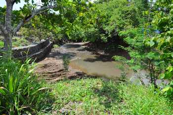 Vue du terrain de 1250 m2 de Tamarindo, Costa Rica 