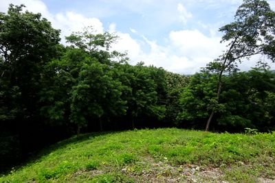 Vue du terrain de Samara, Costa Rica