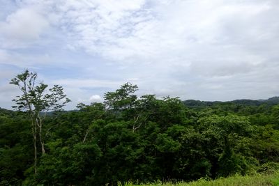 Vue du terrain de Samara, Costa Rica