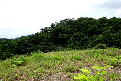 Vue du terrain de Samara, Costa Rica