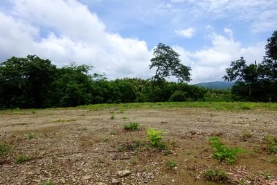 Vue du terrain de Samara, Costa Rica