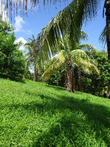 Vue du terrain de Samara, Costa Rica