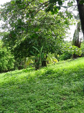 Vue du terrain de Samara, Costa Rica