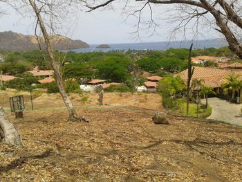Vue du terrain de Playa del Coco, Costa Rica
