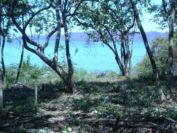 Vue du terrain de Playa Naranjo, Costa Rica