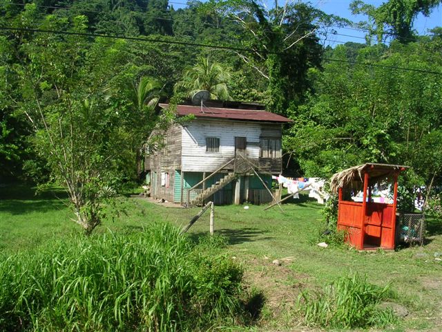 vue de la maison