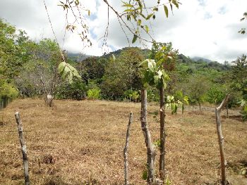Vue du terrain de Ojochal, Costa Rica