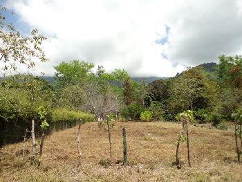 Vue du terrain de Ojochal, Costa Rica