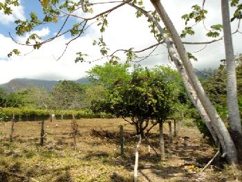 Vue du terrain de Ojochal, Costa Rica