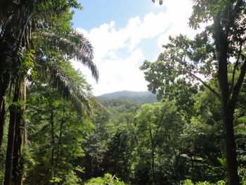 Vue du terrain d'Ojochal, Costa Rica