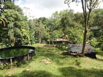 Vue du terrain d'Ojochal, Costa Rica