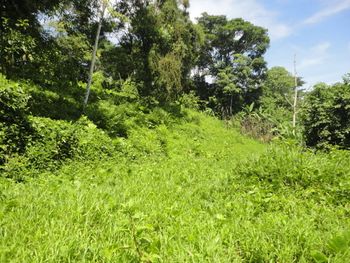 Vue du terrain d'Ojochal, Costa Rica