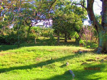 Vue du terrain de Santa Ana, Costa Rica