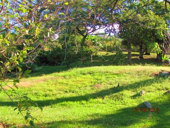 Vue du terrain de Santa Ana, Costa Rica