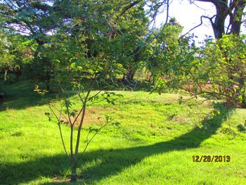 Vue du terrain de Santa Ana, Costa Rica