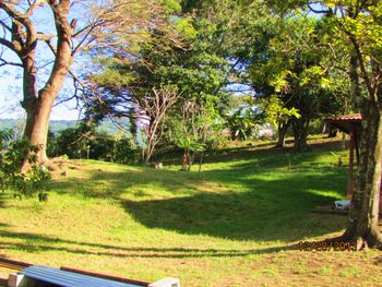 Vue du terrain de Santa Ana, Costa Rica