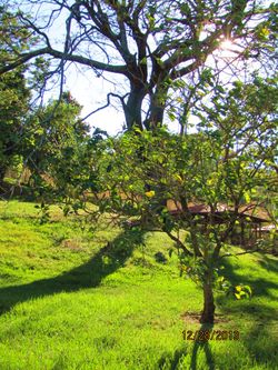 Vue du terrain de Santa Ana, Costa Rica