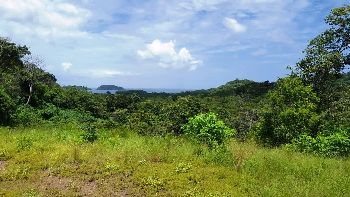 Vue du terrain de playa potrero, costa rica