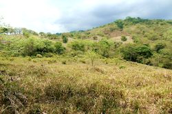 Vue du terrain de Samara, Costa Rica