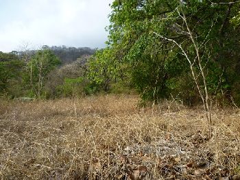 Vue du terrain de Nicoya, Costa Rica
