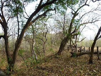 Vue du terrain de Nicoya, Costa Rica