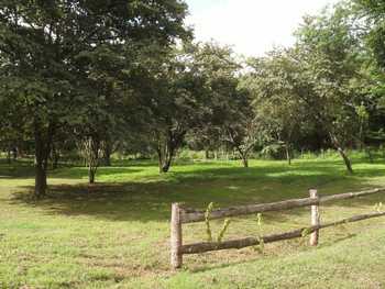 Vue du terrain de 2.000 m2 de Matapalo, Costa Rica