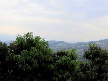 Vue du terrain de 2.200 m2 
