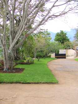Vue du terrain de 2.200 m2 