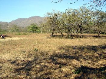 Vue du terrain de Tamarindo, Costa rica