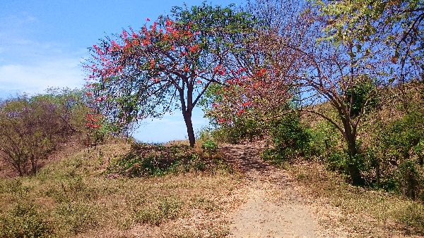 Vue du terrain de Samara, Costa Rica