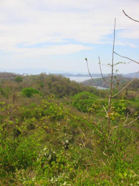 vue du golfe de nicoya