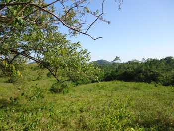 Vue de la finca de tambor, Costa Rica