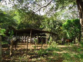 Vue de la finca de tambor, Costa Rica