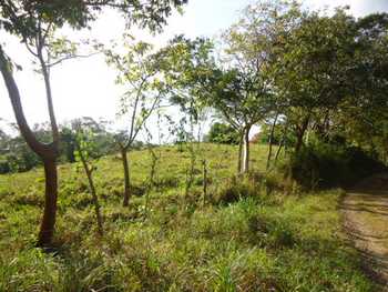 Vue de la finca de tambor, Costa Rica