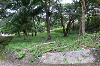 Vue du terrain de Samara, Costa Rica