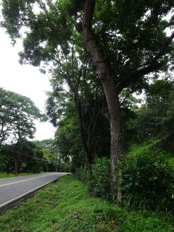 Vue du terrain de Samara, Costa Rica