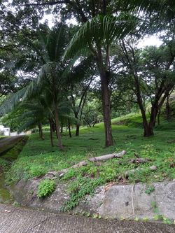 Vue du terrain de Samara, Costa Rica