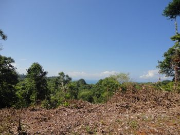 Vue du terrain de Ojochal, Costa Rica