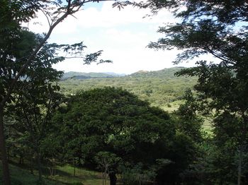 Vue du terrain de Tamarindo, Costa Rica