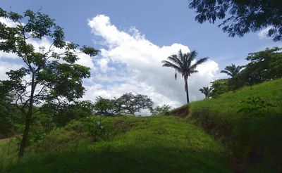 Vue du terrain de Samara, Costa Rica