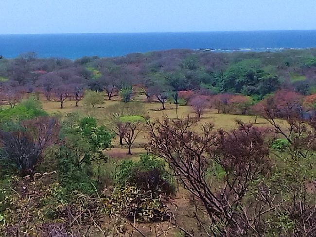 Vue du terrain de Samara, Costa Rica