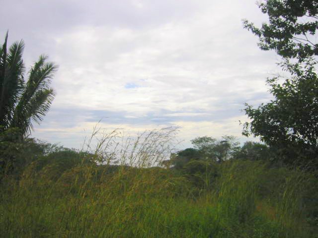 vue du terrain de las delicias de montezuma costa rica