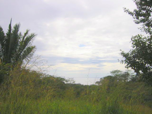 vue du terrain de las delicias de montezuma costa rica