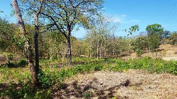 Vue du terrain de Potrero, Costa Rica