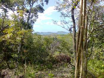 Vue du terrain de Playa Potrero, Costa Rica