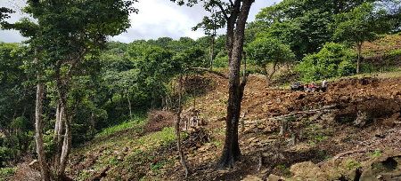 Vue du terrain de Santa Teresa, Costa Rica