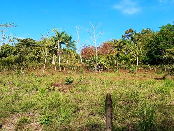 Vue du terrain d'Ojochal, Costa Rica